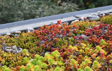 the cost of Darrington green roof installation
