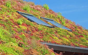Darrington living roof systems