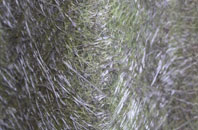 Darrington fibreglass roof work