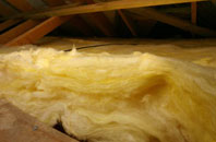 Darrington pitch roof insulation